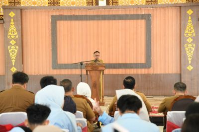Turun ke Desa, 485 Mahasiswa Unri Siap Bantu Bengkalis Hadapi Stunting hingga Karhutla